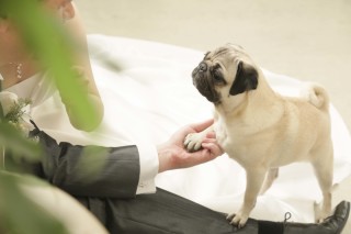 Kimono＆Dress　style 