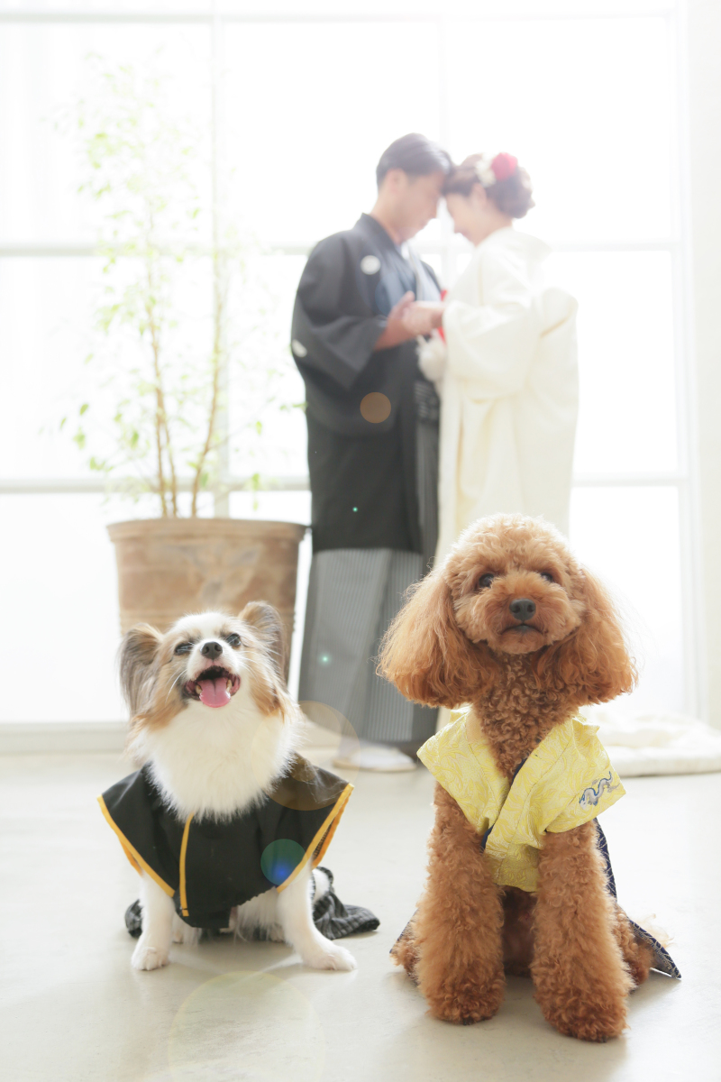 家族と一緒に♪