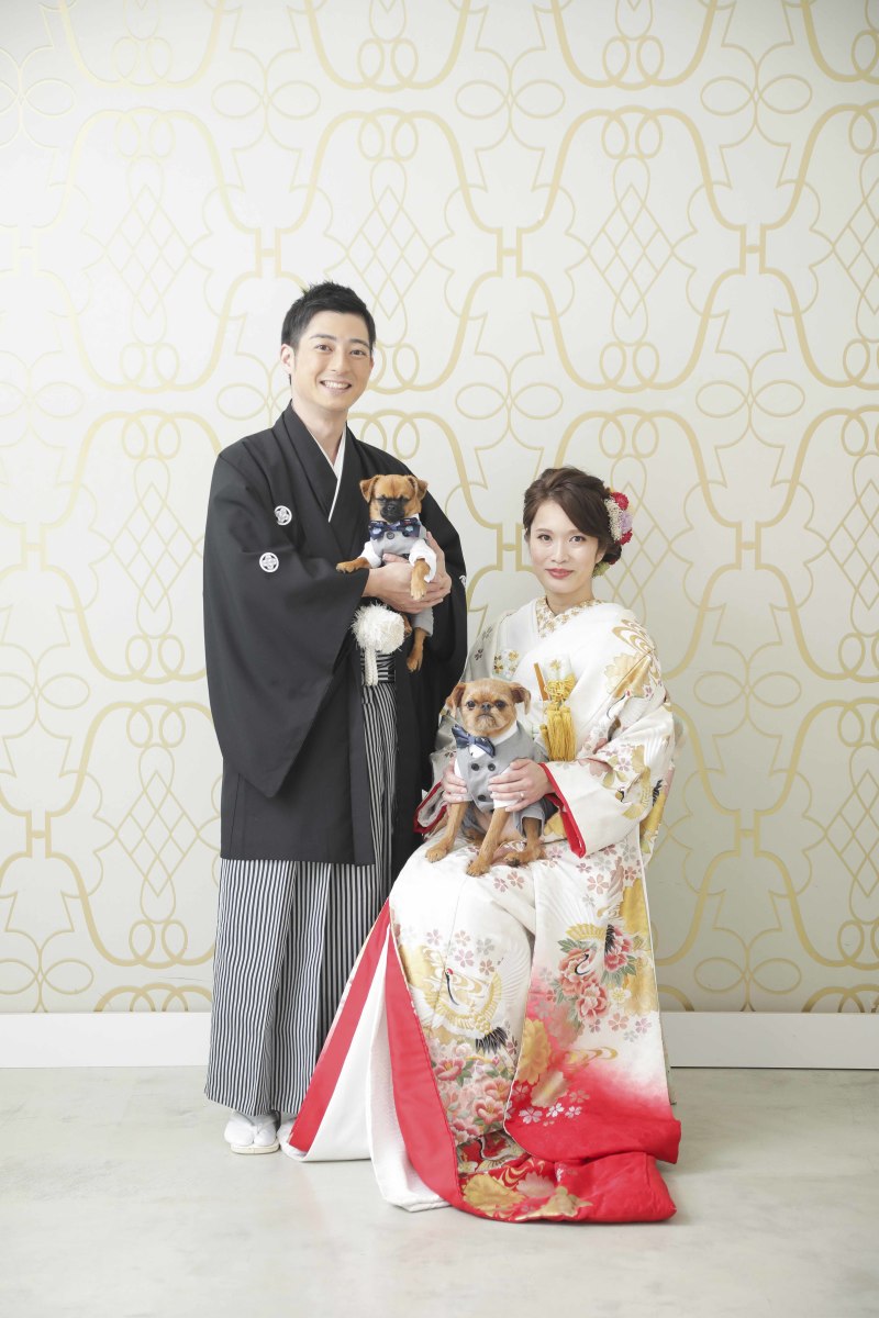 ペットプラン！