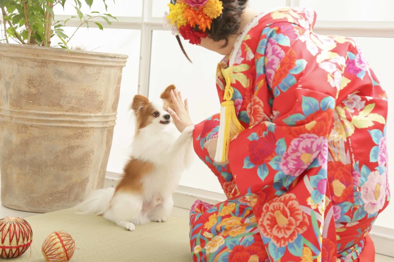 Kimono＆Dress　style