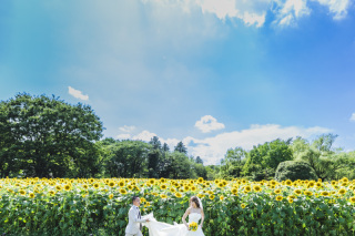 ひまわりとイエローサマー！