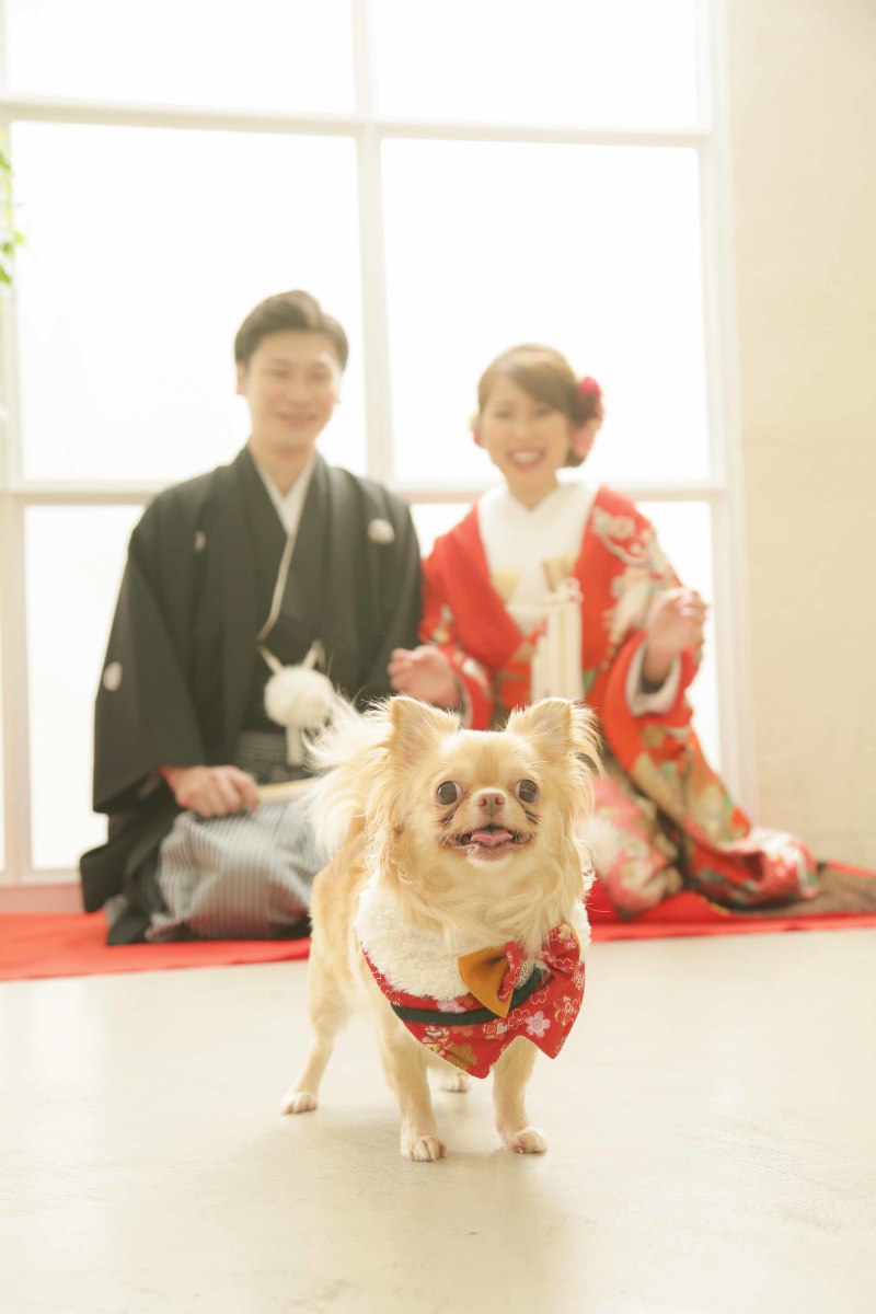 元気いっぱい☆彡