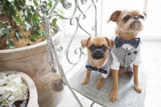 kimono＆dress style