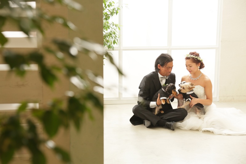 ペットと一緒に！