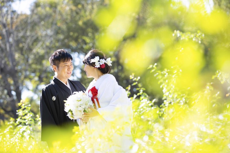 緑豊かな雰囲気で