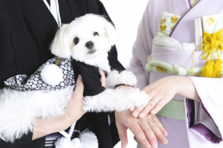 ワタベウェディング表参道フラッグシップフォトスタジオ