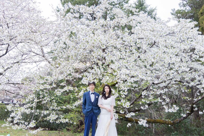 20以上ある撮影シーン