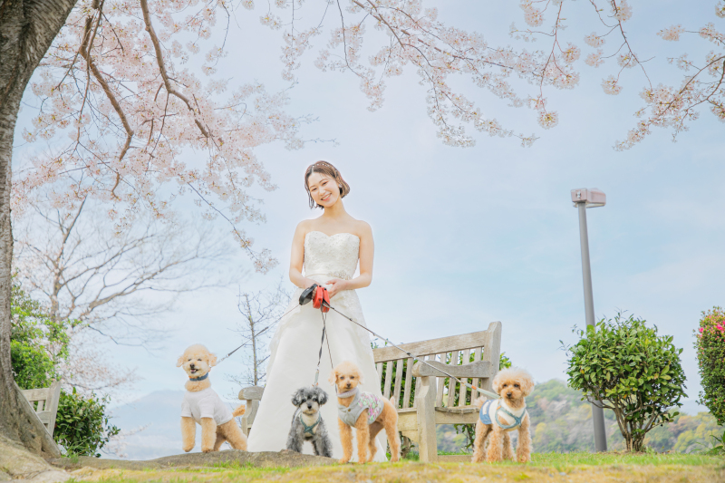 ★表参道フラッグシップフォトスタジオ限定★新婦1着(和装/洋装)ロケーション地でペットと一緒に撮影できるフォトプラン