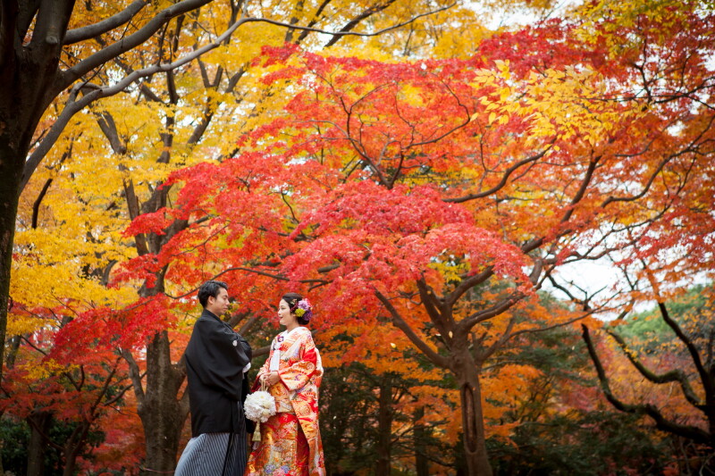 【都会のオアシス公園フォト】代々木公園フォトプラン《新婦衣裳1着・全データ・美容師アテンド付き》