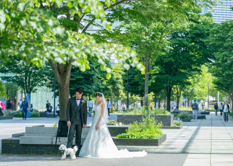 ★表参道フラッグシップフォトスタジオ限定★新婦1着(和装/洋装)ロケーション地でペットと一緒に撮影できるフォトプラン