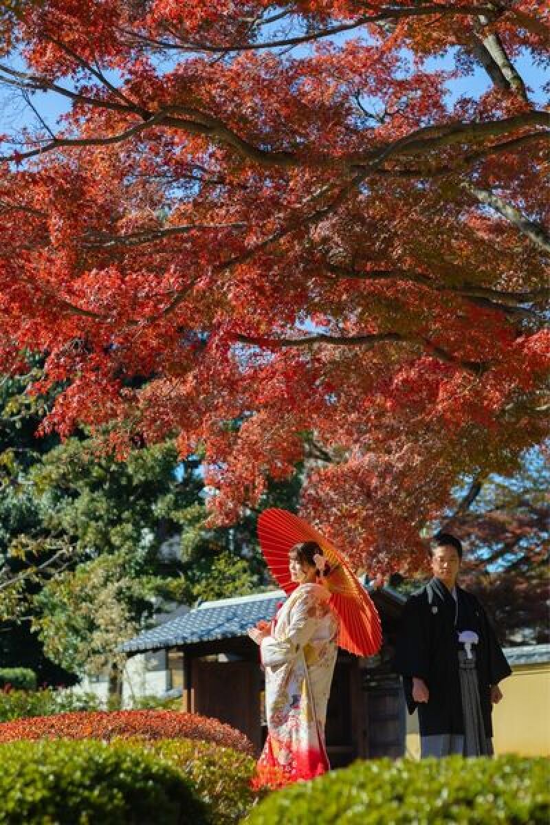 【期間限定】秋ロケーションフォトプラン最大¥33,000オフ✦和装or洋装✦《全データ込み◎》