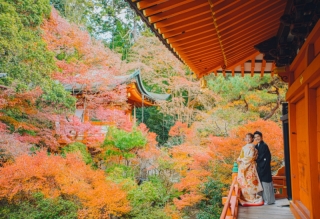 ≪シーズン料金2万円OFF≫大人気!紅葉ロケーションフォト