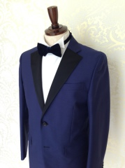 ソッティーレアリストン