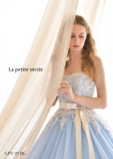 ブルーデイジー