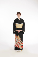留袖（金彩花車に束のし）