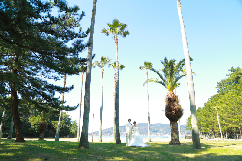 絶好の撮影日和♪