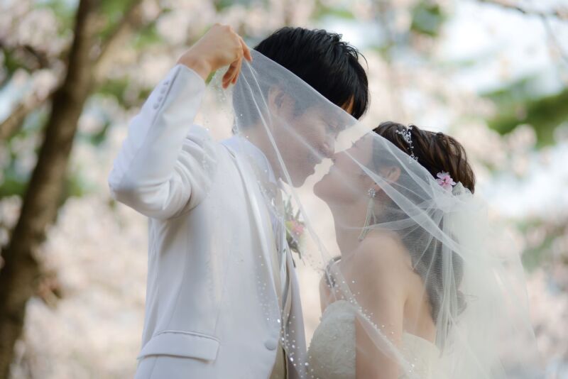 桜ロケーションフォト