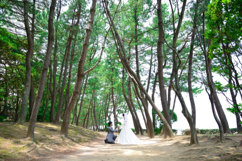 木々に囲まれて・・・