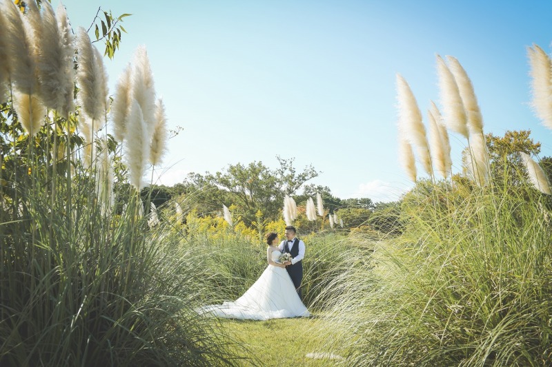 流行りのすすきの中での撮影