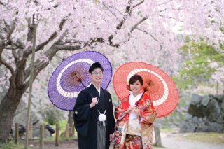 桜ロケーション