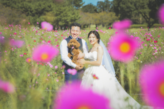 自然の中で愛犬との撮影