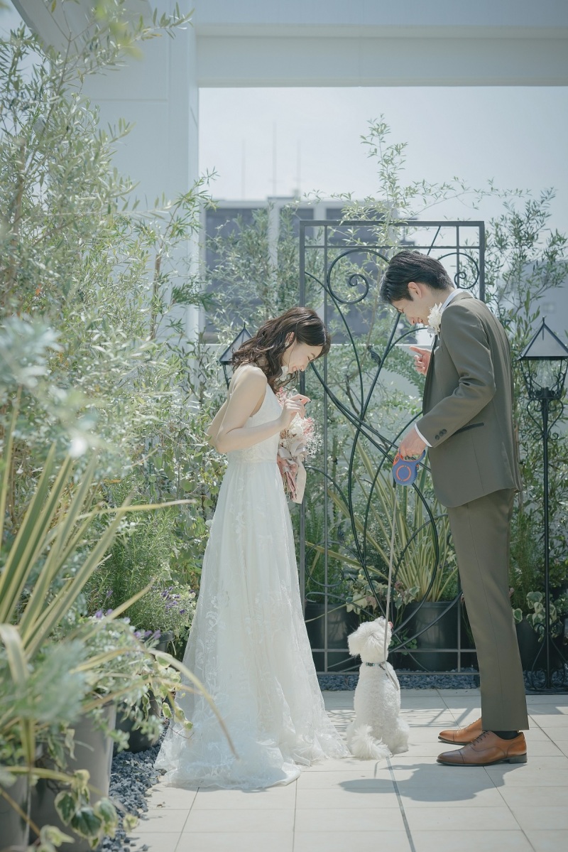 ResWedding(リズウエディング)_ペットと一緒に撮影できる