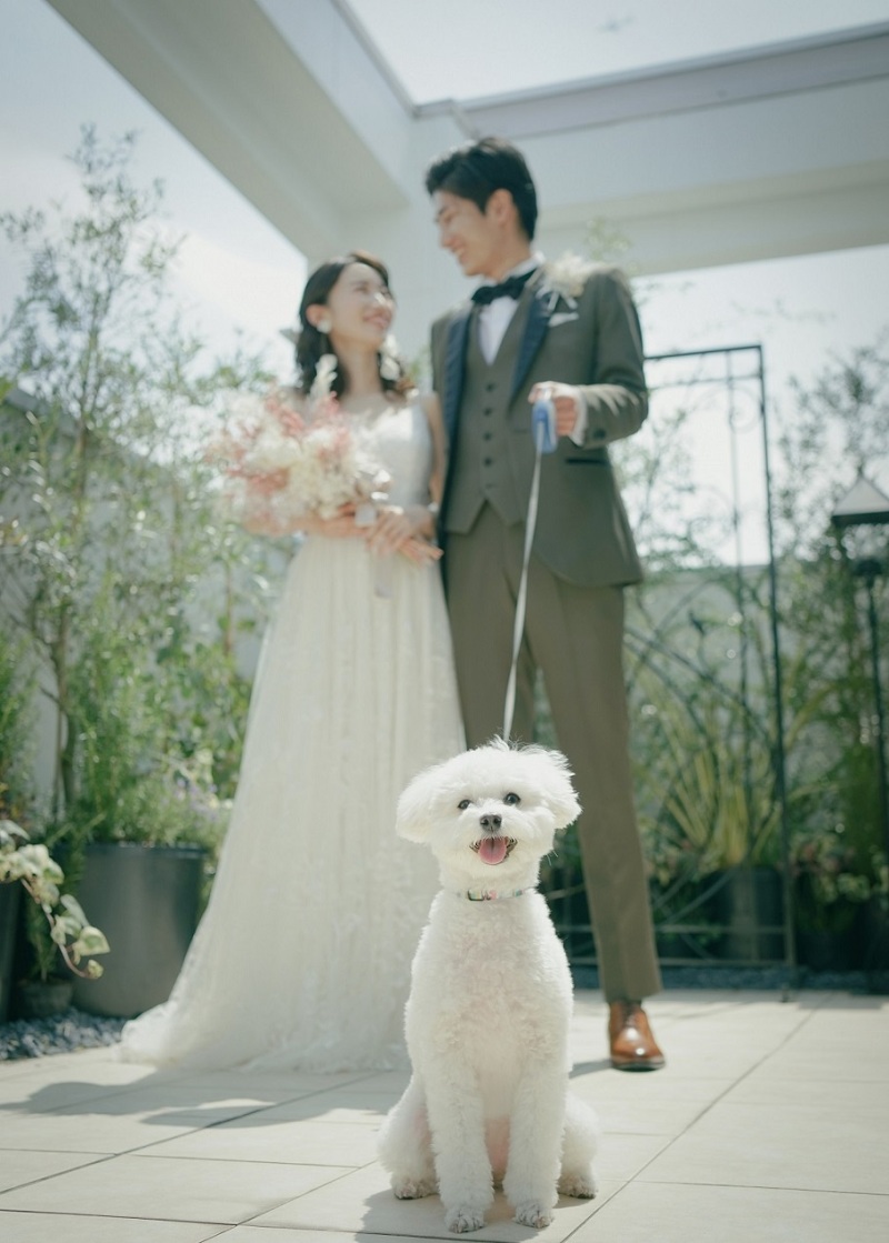 大切なペットとの撮影も可能です！