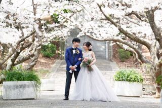 ResWedding（リズウエディング）_桜フォト