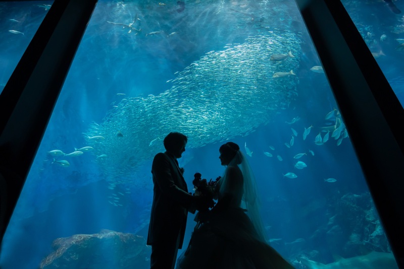 20以上ある撮影シーン