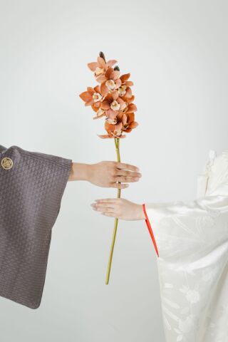 ResWedding（リズウエディング）_NEW　和装スタジオ撮影