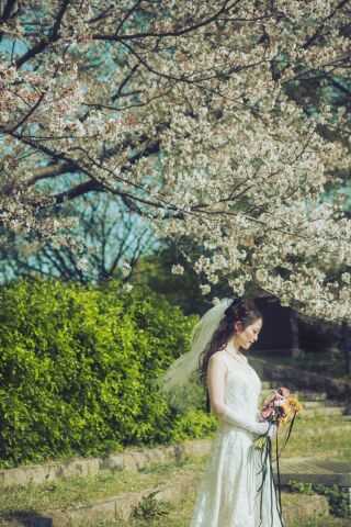 ResWedding（リズウエディング）_桜フォト