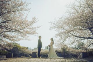 ResWedding（リズウエディング）_桜フォト