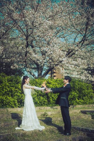 ResWedding（リズウエディング）_桜フォト