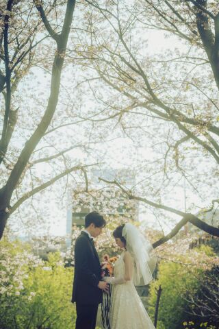 ResWedding（リズウエディング）_桜フォト