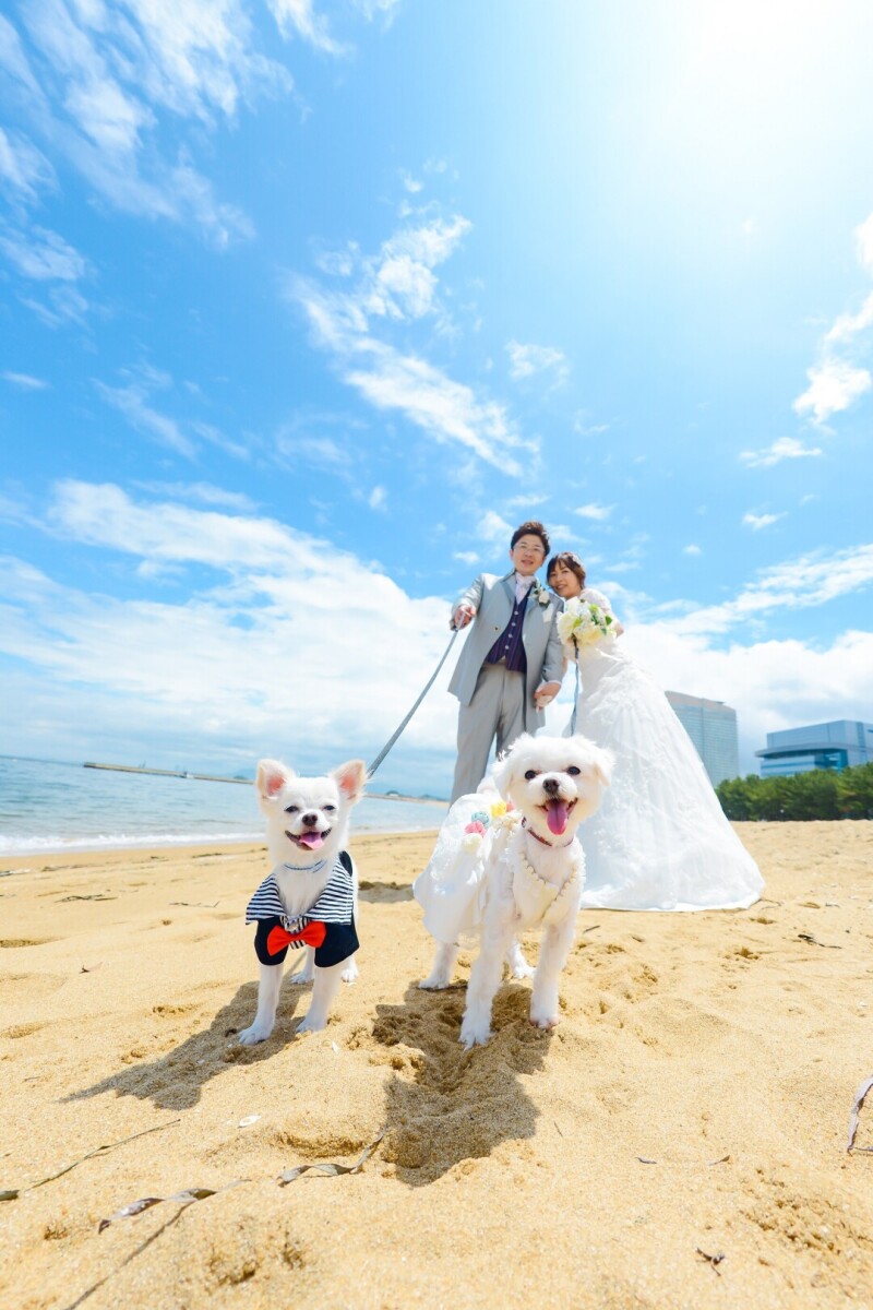 【12月28日までのお申込限定！3万円割引】奈多海岸ロケーション撮影プラン（雨天延期も￥0／新作衣装も全額無料）