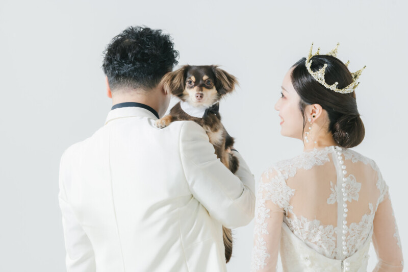 【小さな家族（ペット）と撮影】スタジオ撮影／たっぷり1時間！貸切スタジオ撮影プラン（データ100カット）