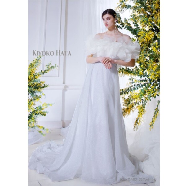 【年内撮影限定！5万円割引】 キヨコハタ プレミアムドレス スタジオ撮影プラン（追加料金無料／データ50カット）