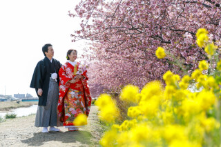 桜と菜の花・・・*