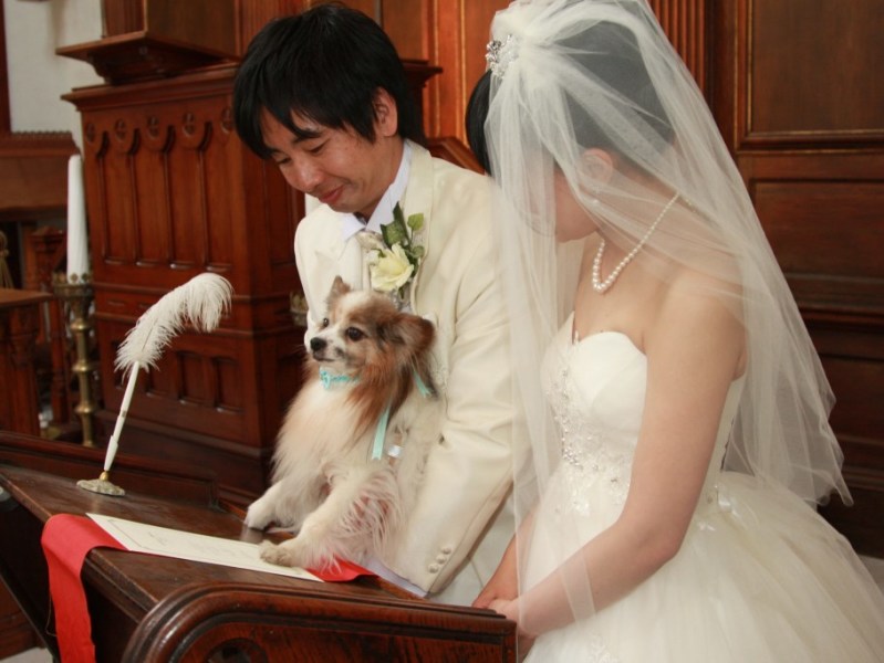 誓約書も家族一緒に