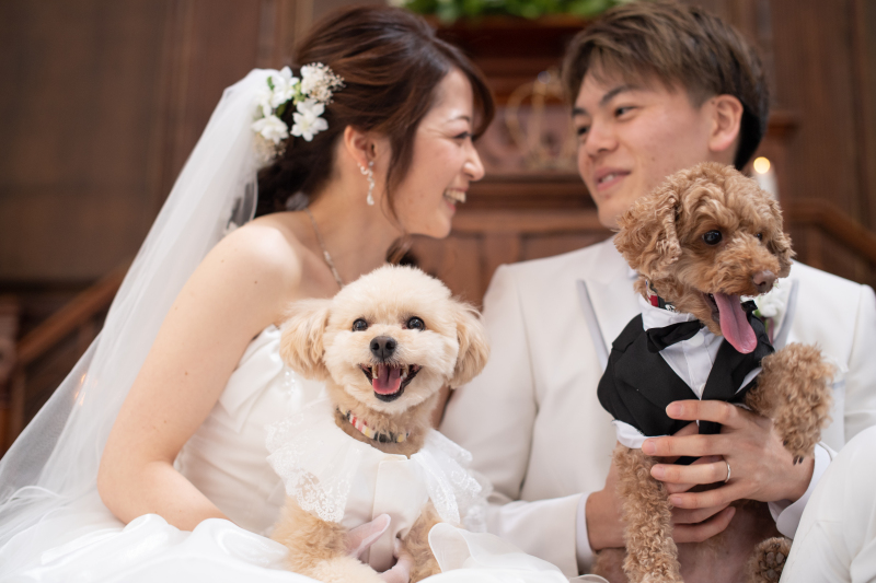 撮影いい子に頑張りました！