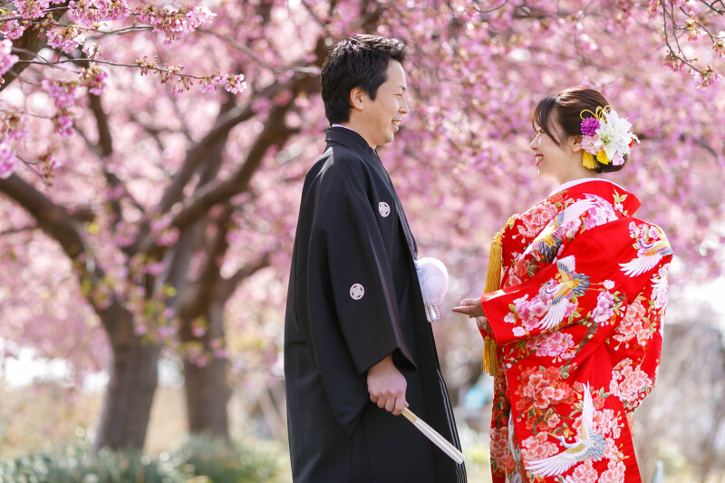 河津桜・・・*