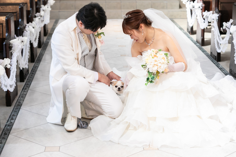 ドレスに埋もれて・・・*