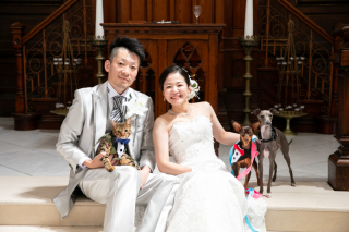 わんちゃんネコちゃんと一緒に