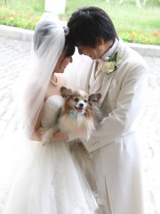 新郎×ちろるちゃん×新婦