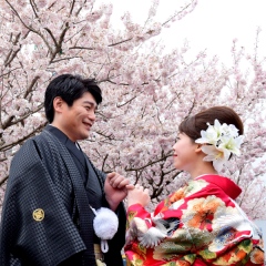 和婚×桜　