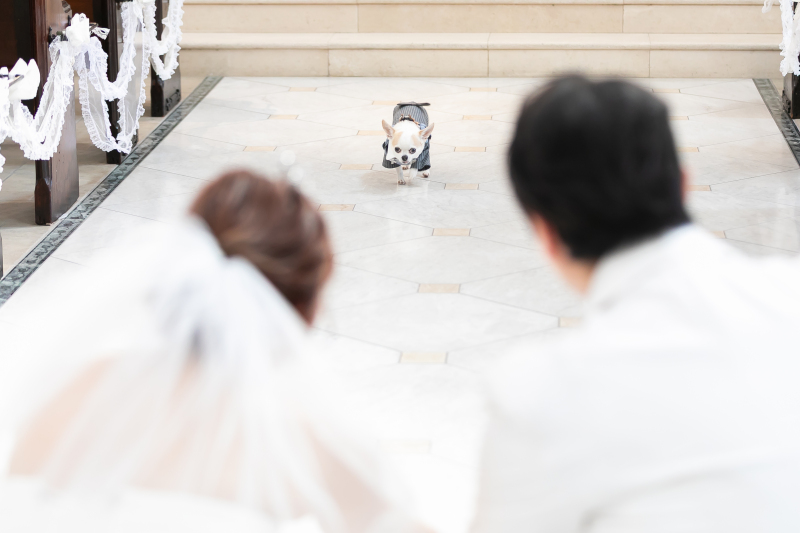 おふたりの元へ・・・*