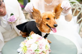 フォトウェディングLucia小田原店_《Pic Up!》おすすめフォト