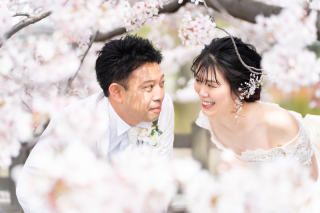 自然な光と満開の桜は最高の絵になる！あたたかい日差しに包まれた写真はやわらかさも演出♪様々な光で撮影できるのがロケーションの魅力です！