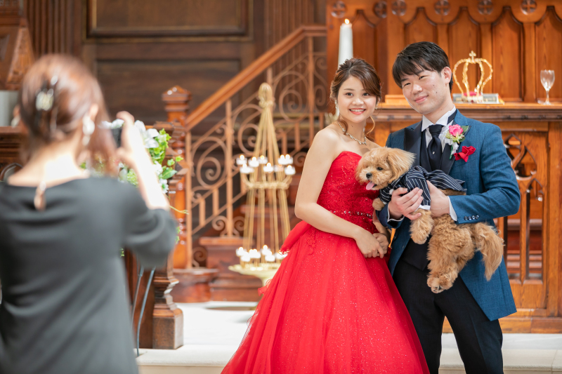 《ペットと撮影》ペットと一緒にドレスで撮影プラン