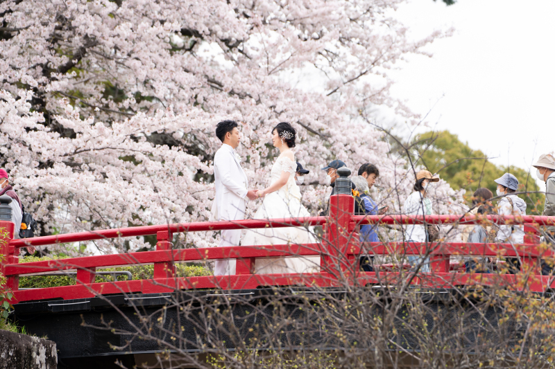 《桜ロケーション》洋装フォトプラン